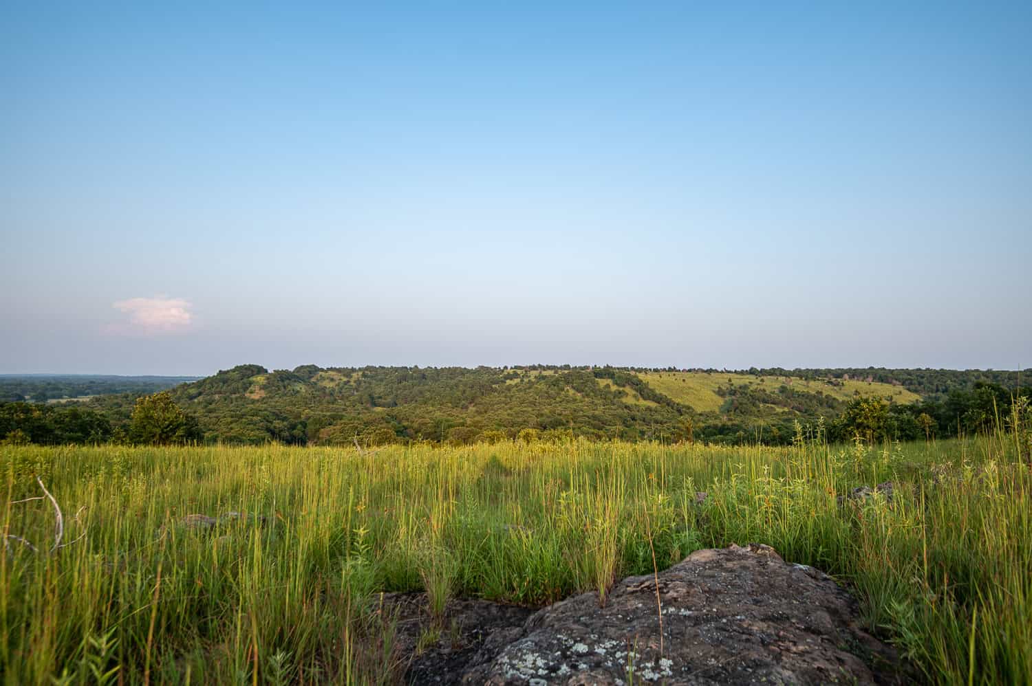 Premier Hunting & Cattle Ranch for Sale Near McAlester OK