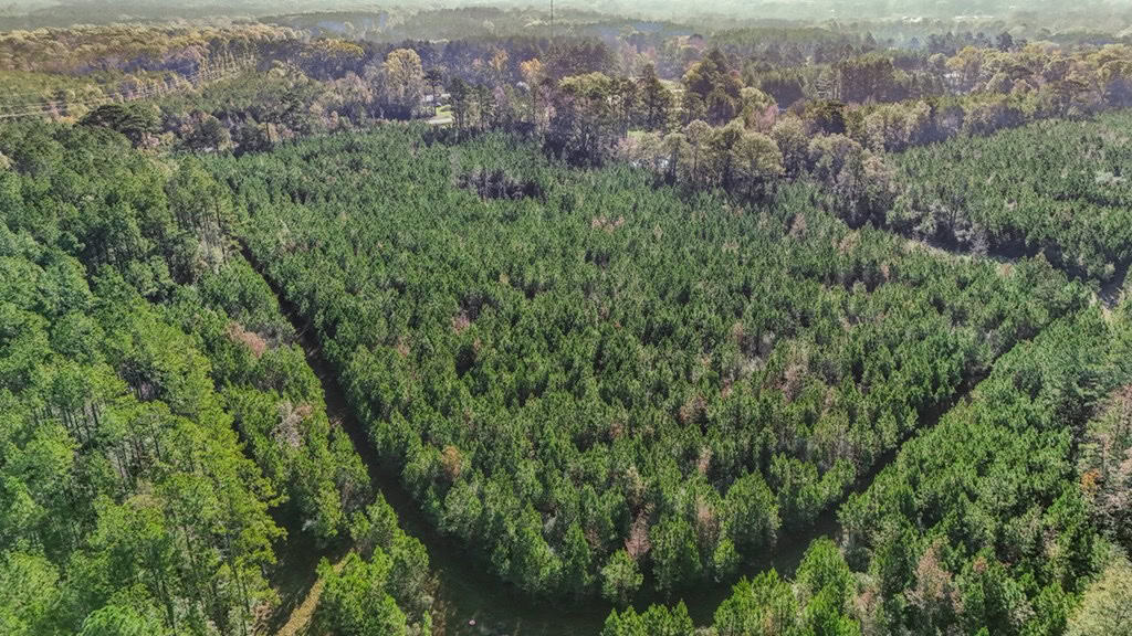 Land For Sale in Amite County, MS