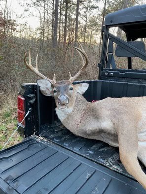 145 Acres Jefferson County Hunting Land Timber Investment