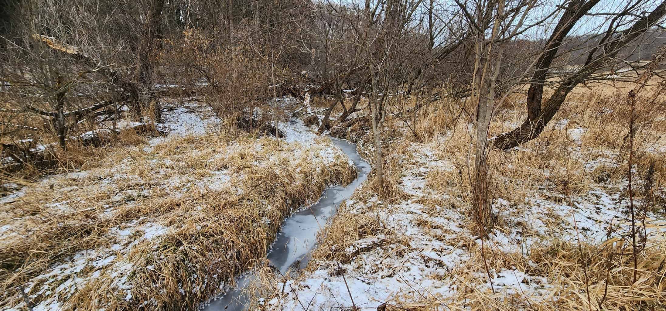 Land for sale with stream, crop ground, hunting, possible build site in WI