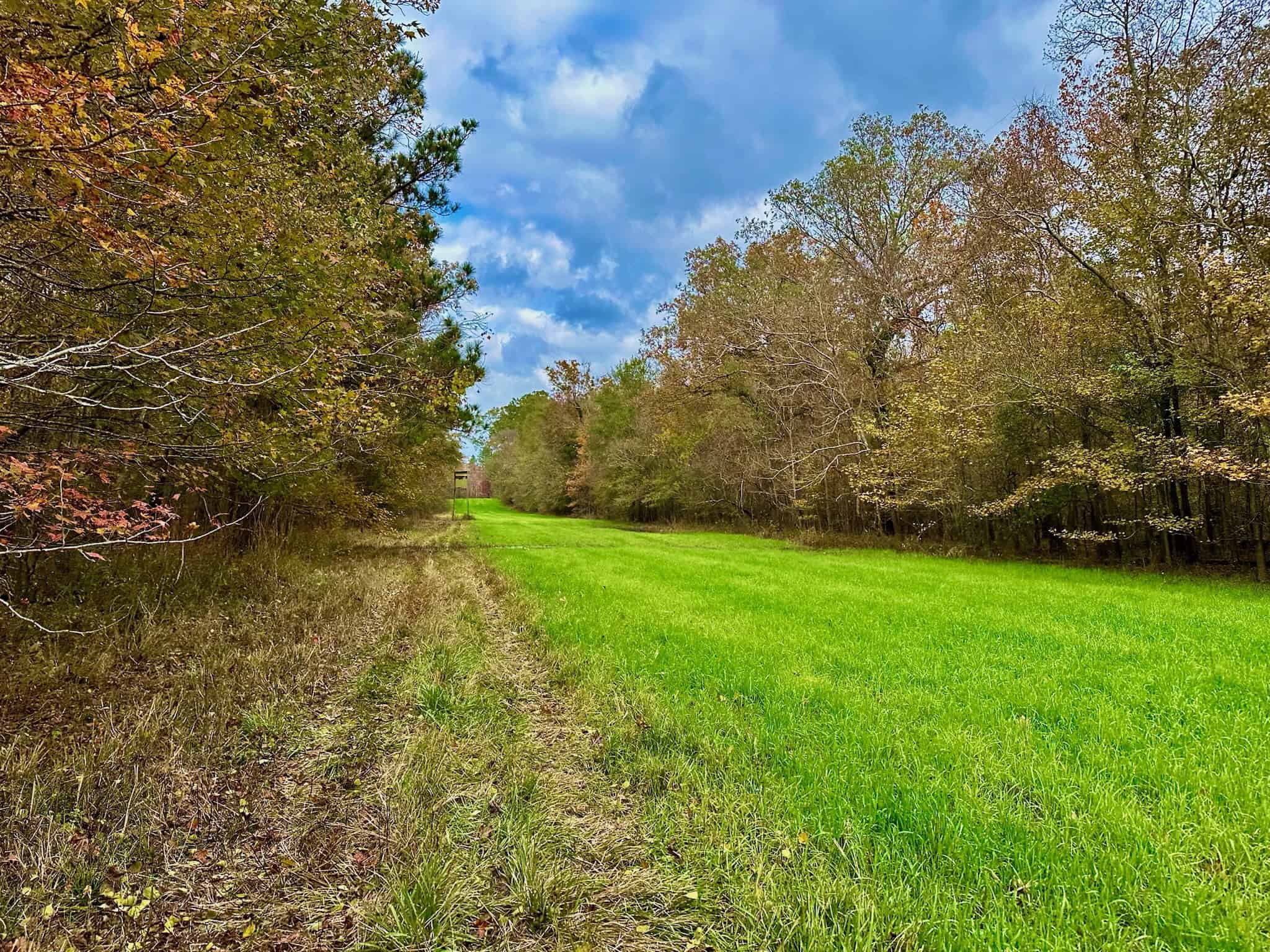 Duck and Deer Hunting Land for Sale with River Frontage
