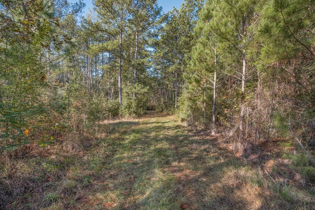 Land For Sale in Amite County, MS