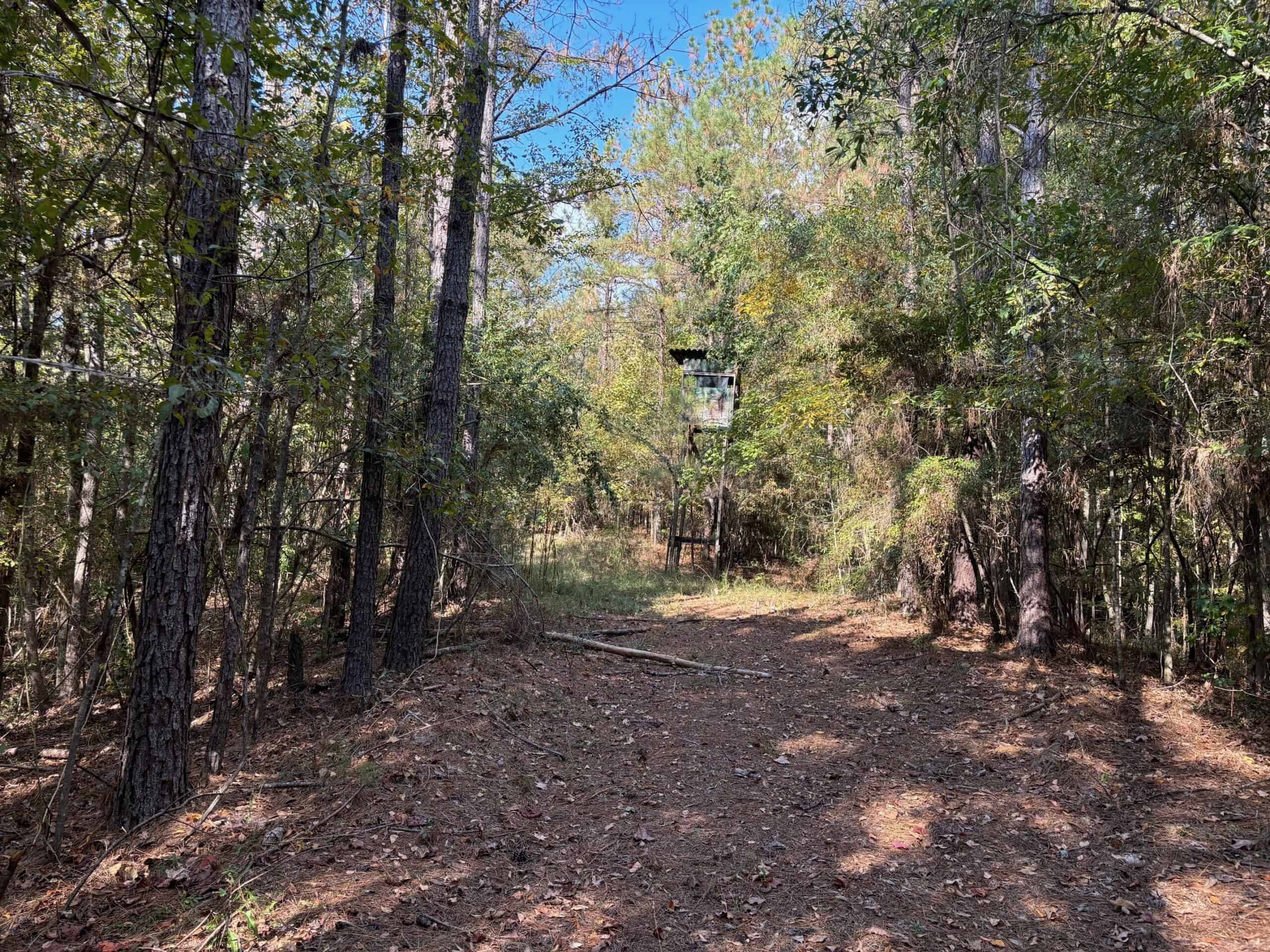 42 Acres Franklin County Hunting Land Timber Investment