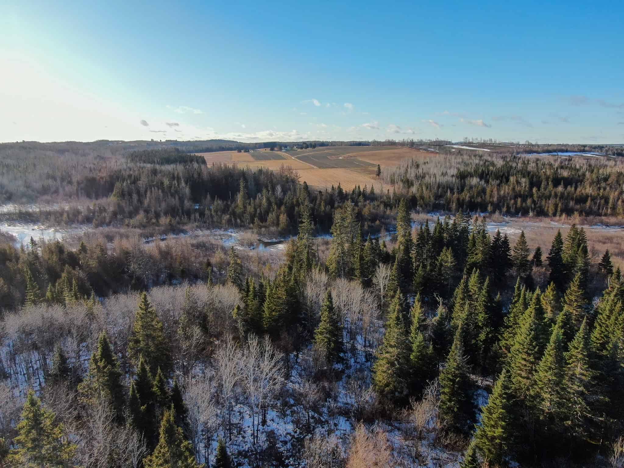 59 Acres in Northern Maine