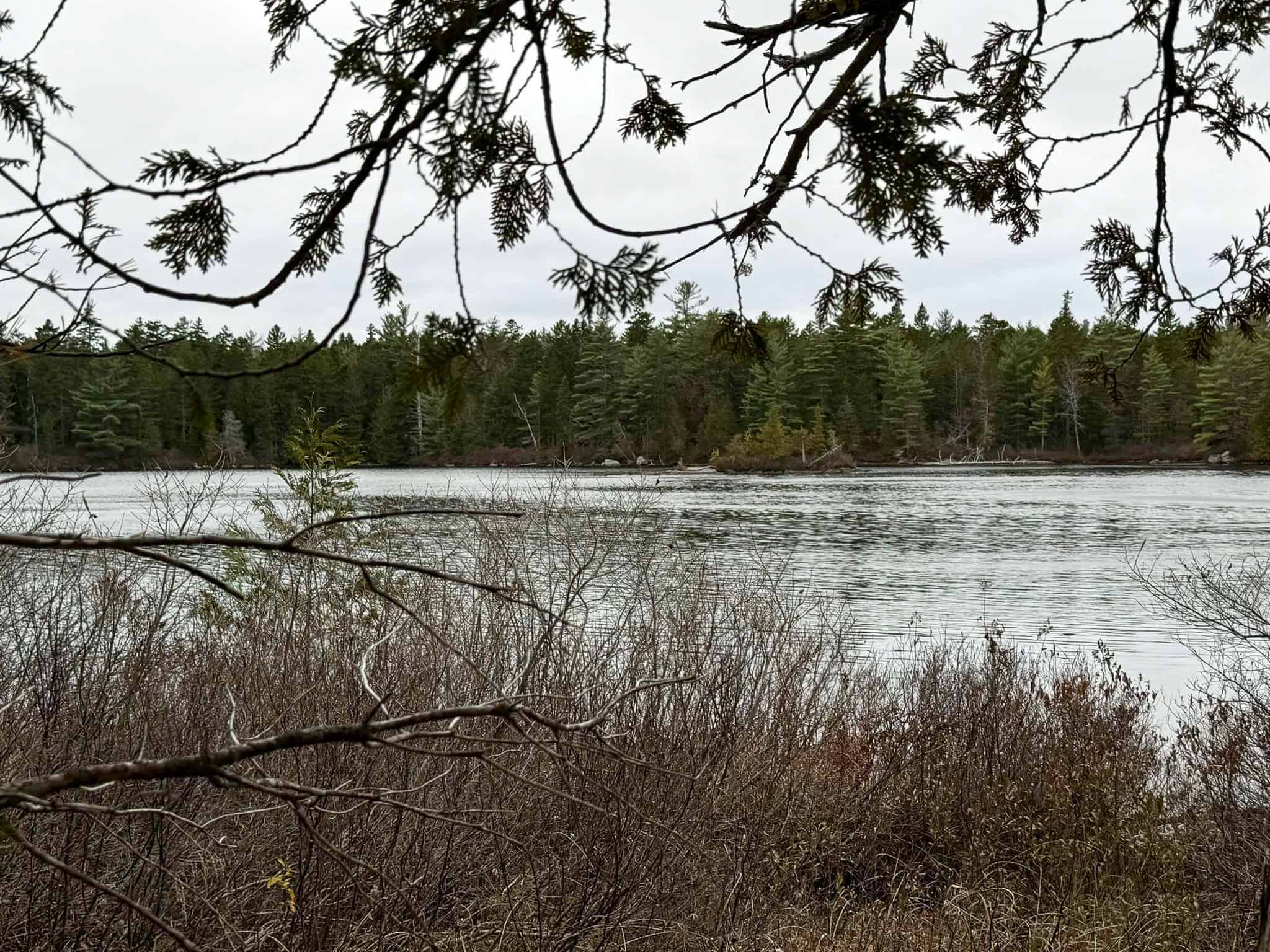 Lakefront Land with 41 Acres