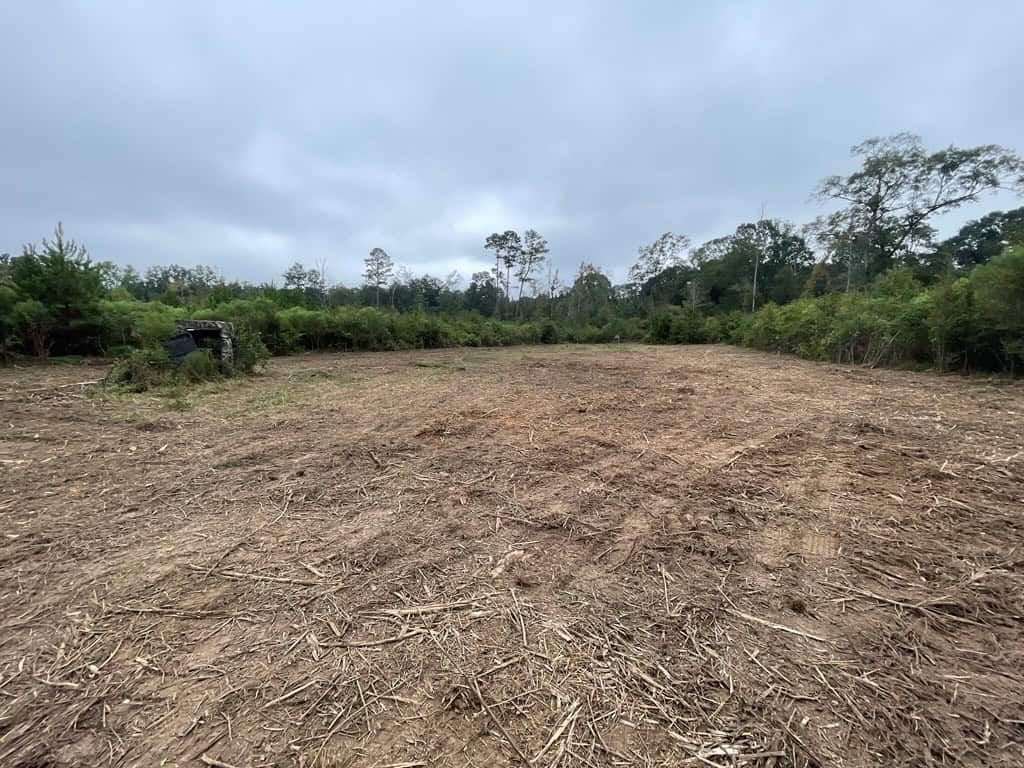 Amite River Hunting Tract For Sale