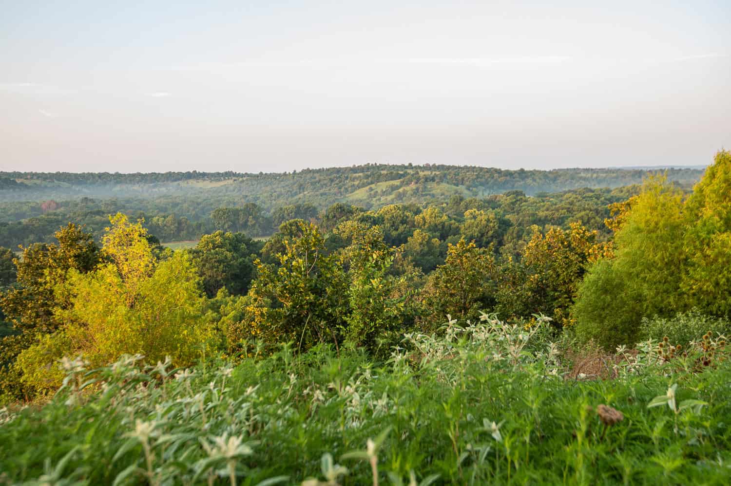 Premier Hunting & Cattle Ranch for Sale Near McAlester OK