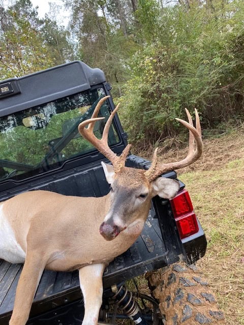 145 Acres Jefferson County Hunting Land Timber Investment