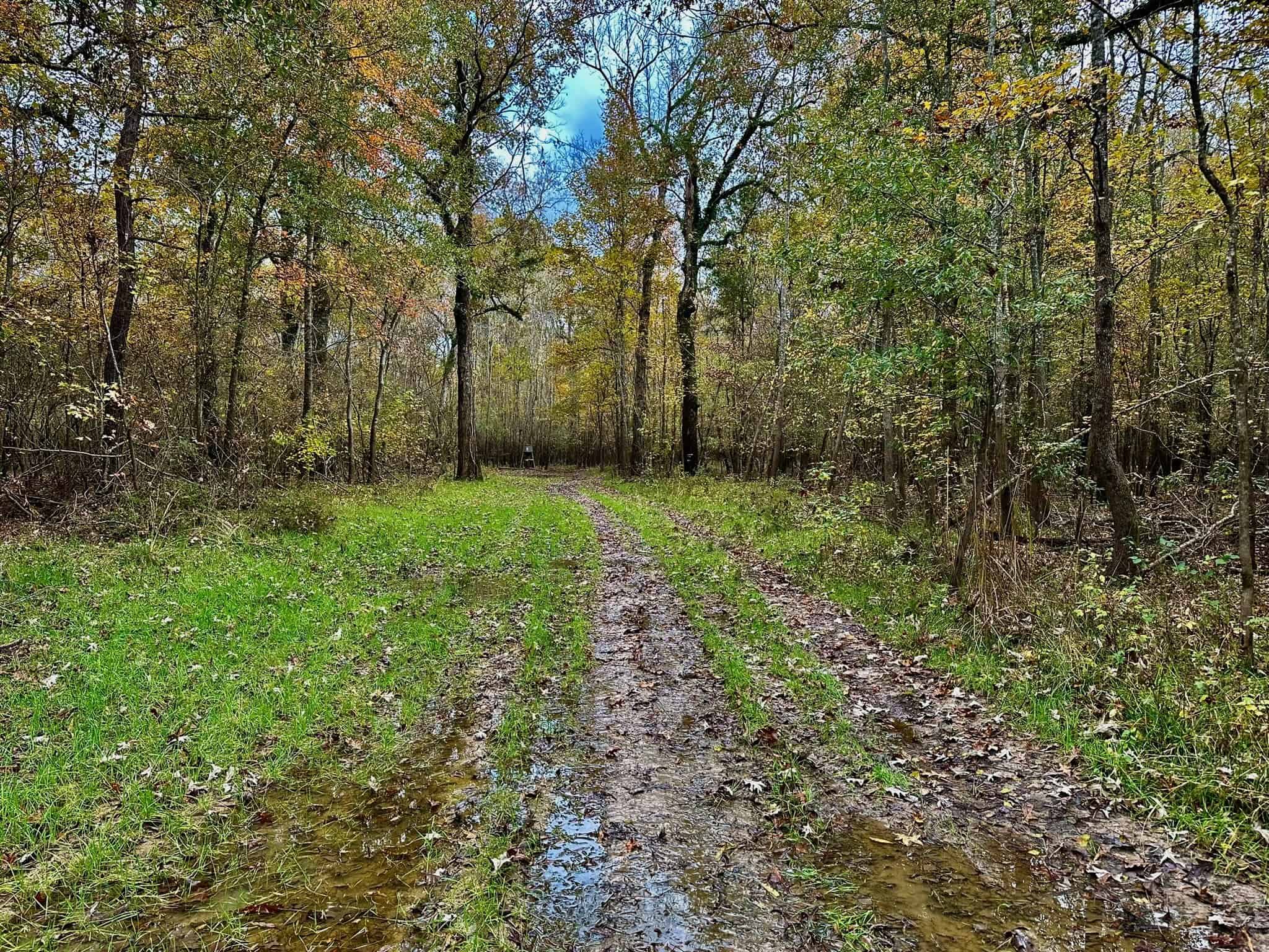 Duck and Deer Hunting Land for Sale with River Frontage