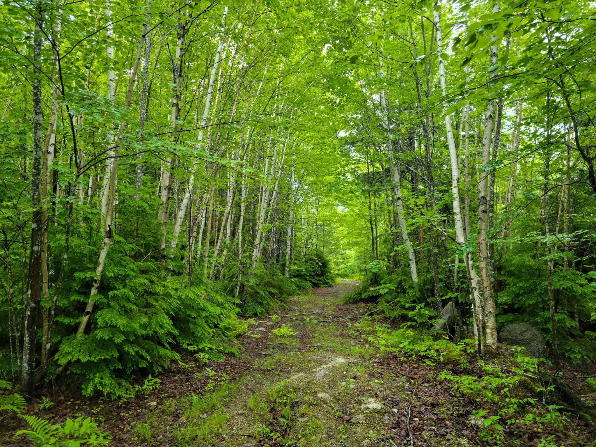 Secluded Cabin on 550 Acres with Stunning Views & Ultimate Privacy