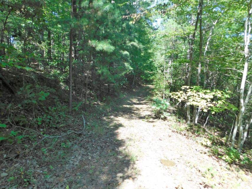 Hunting Property For Sale Bordering Ozark National Forest on 2 Sides Buffalo River Region Ozark Mountains