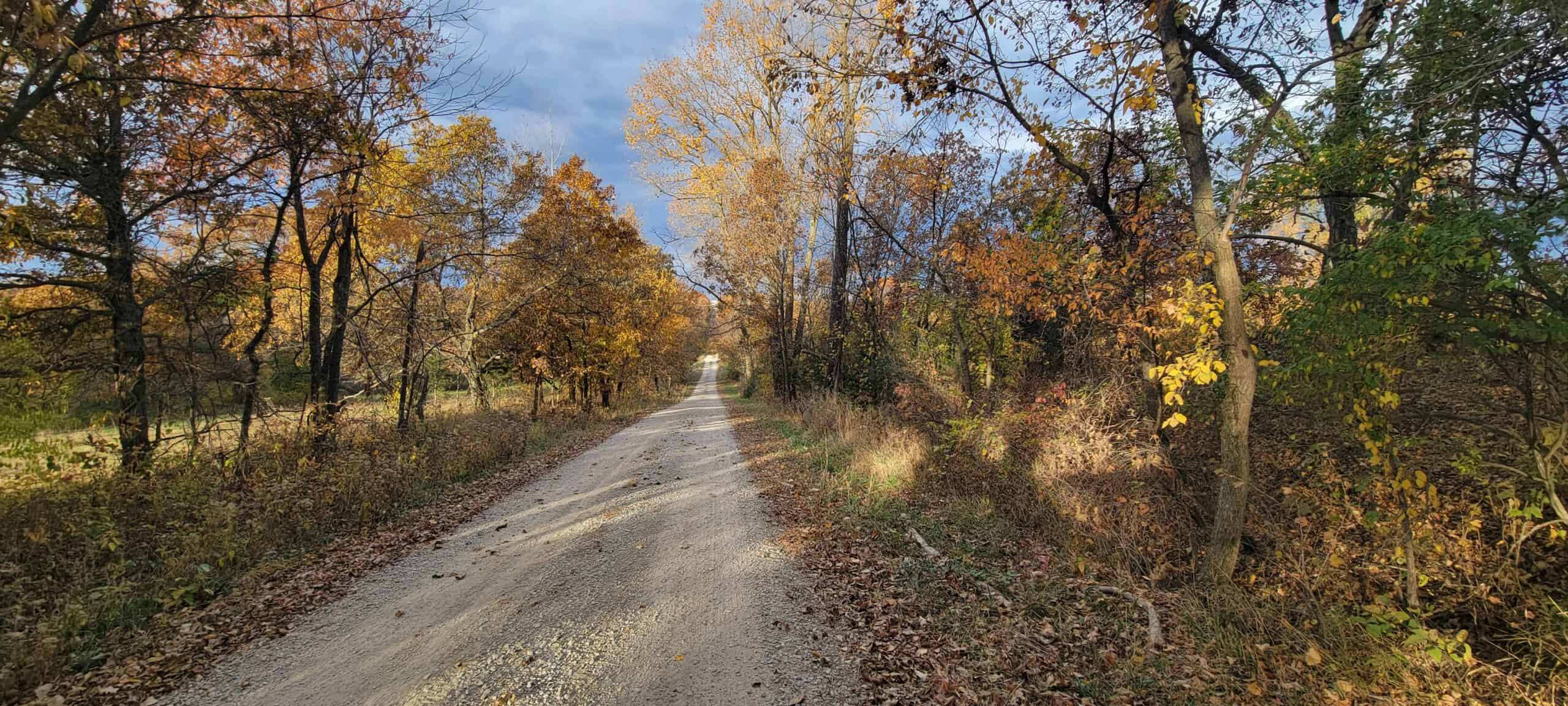 For Sale 36 Acres m/l Hunting in Worth County