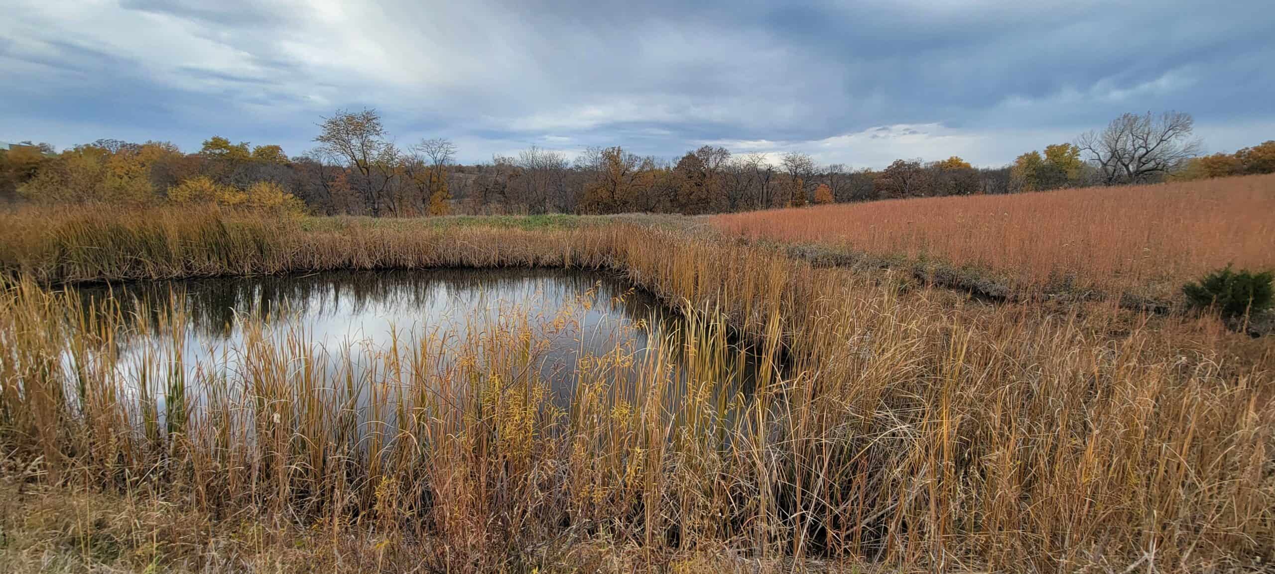 For Sale 36 Acres m/l Hunting in Worth County