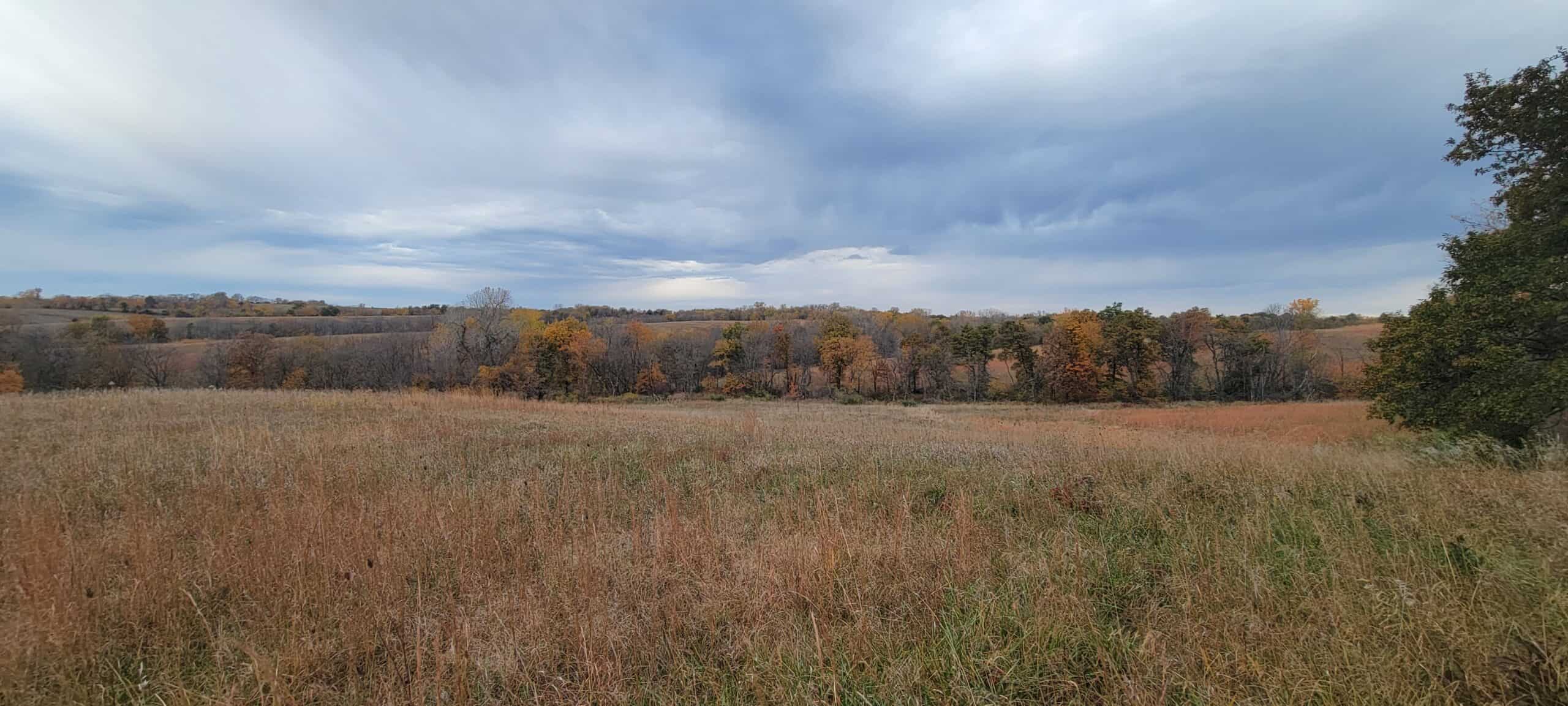 For Sale 36 Acres m/l Hunting in Worth County