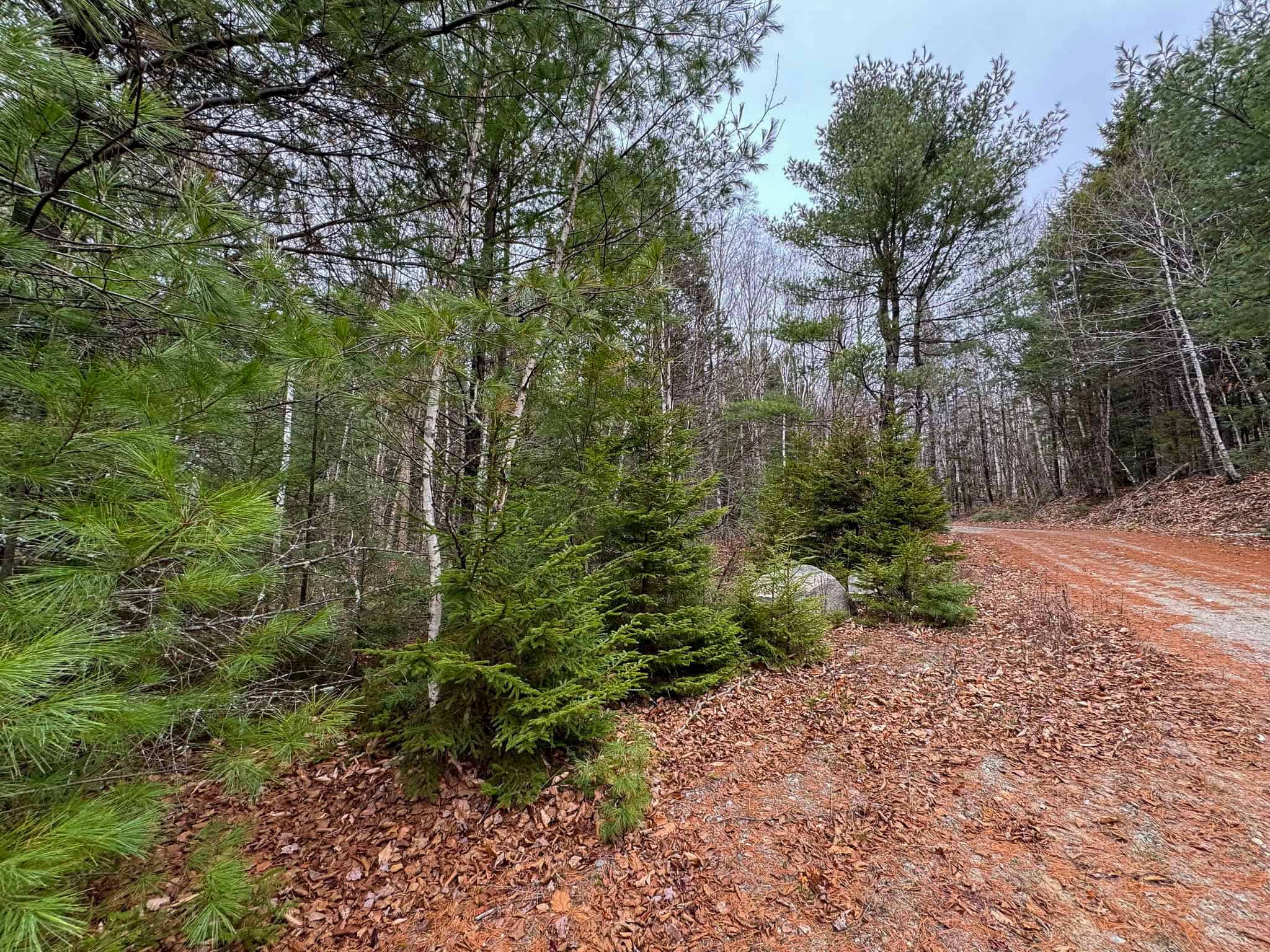 Lakefront Land with 41 Acres
