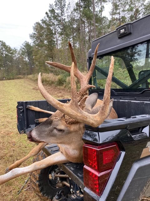 145 Acres Jefferson County Hunting Land Timber Investment