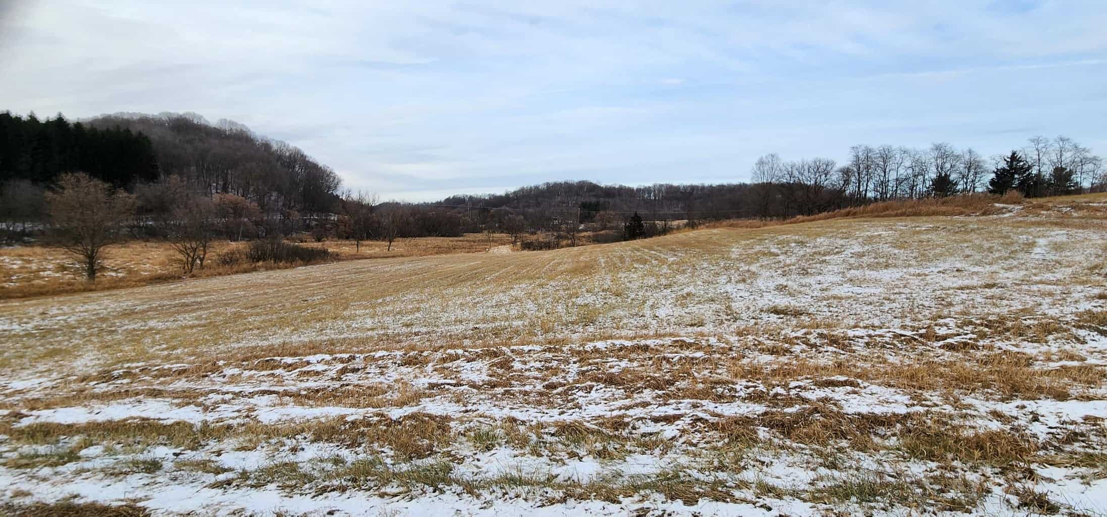 Land for sale with stream, crop ground, hunting, possible build site in WI