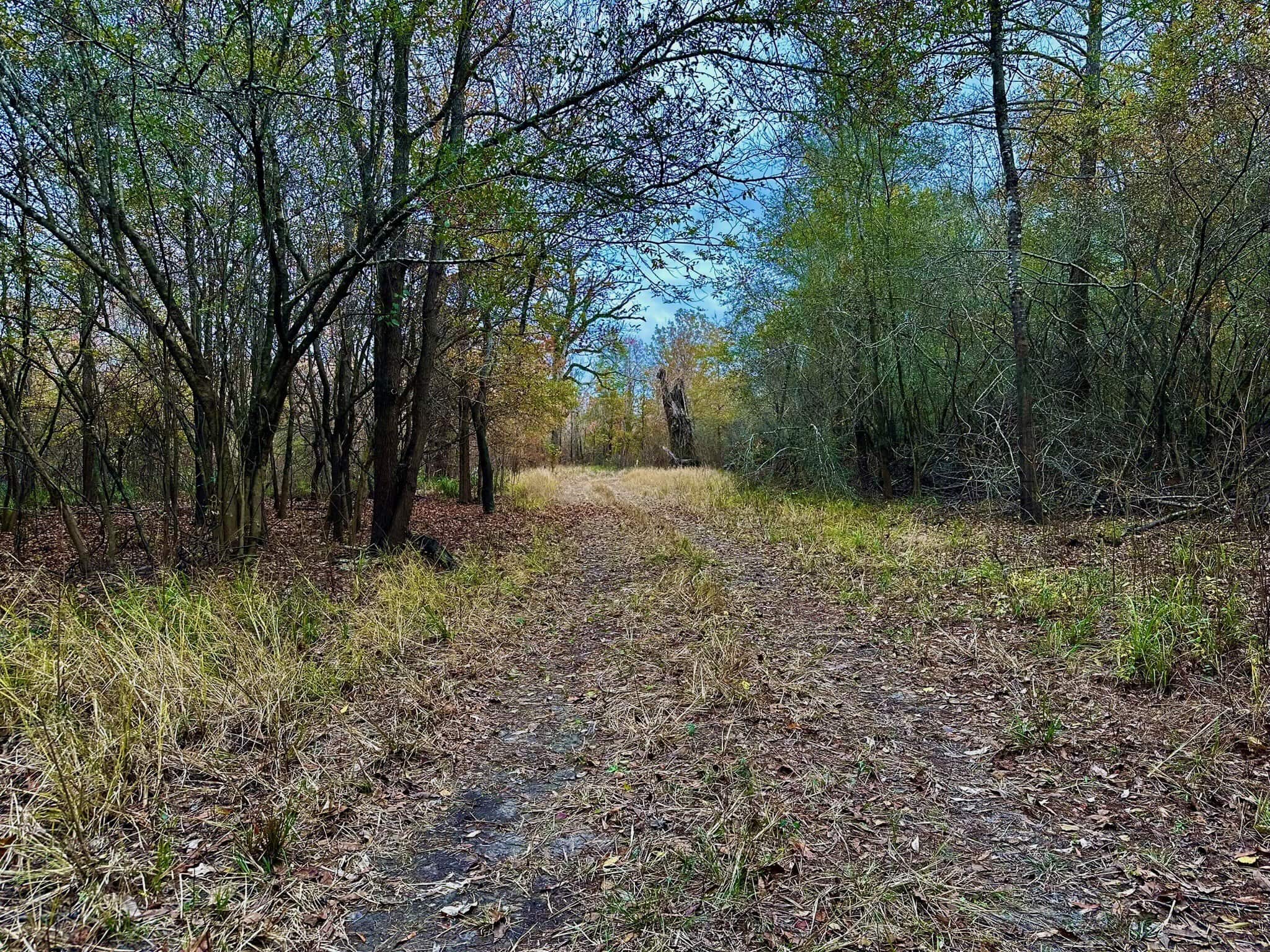 Duck and Deer Hunting Land for Sale with River Frontage