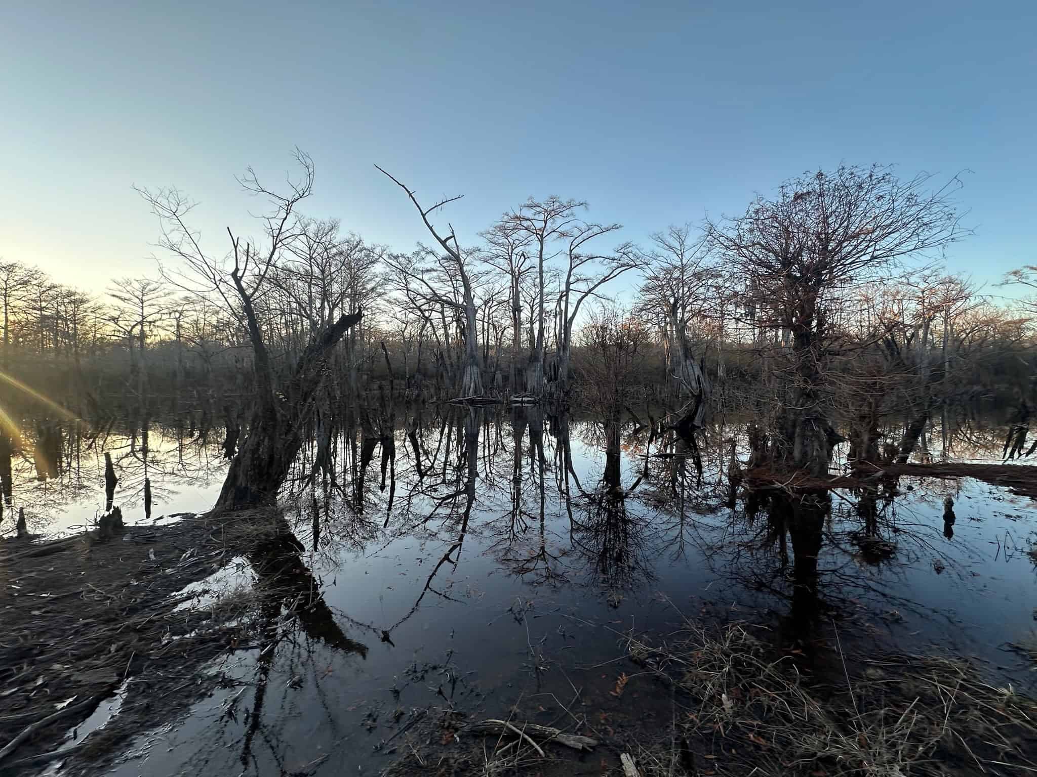 Duck and Deer Hunting Property for Sale in Grant Parish, LA