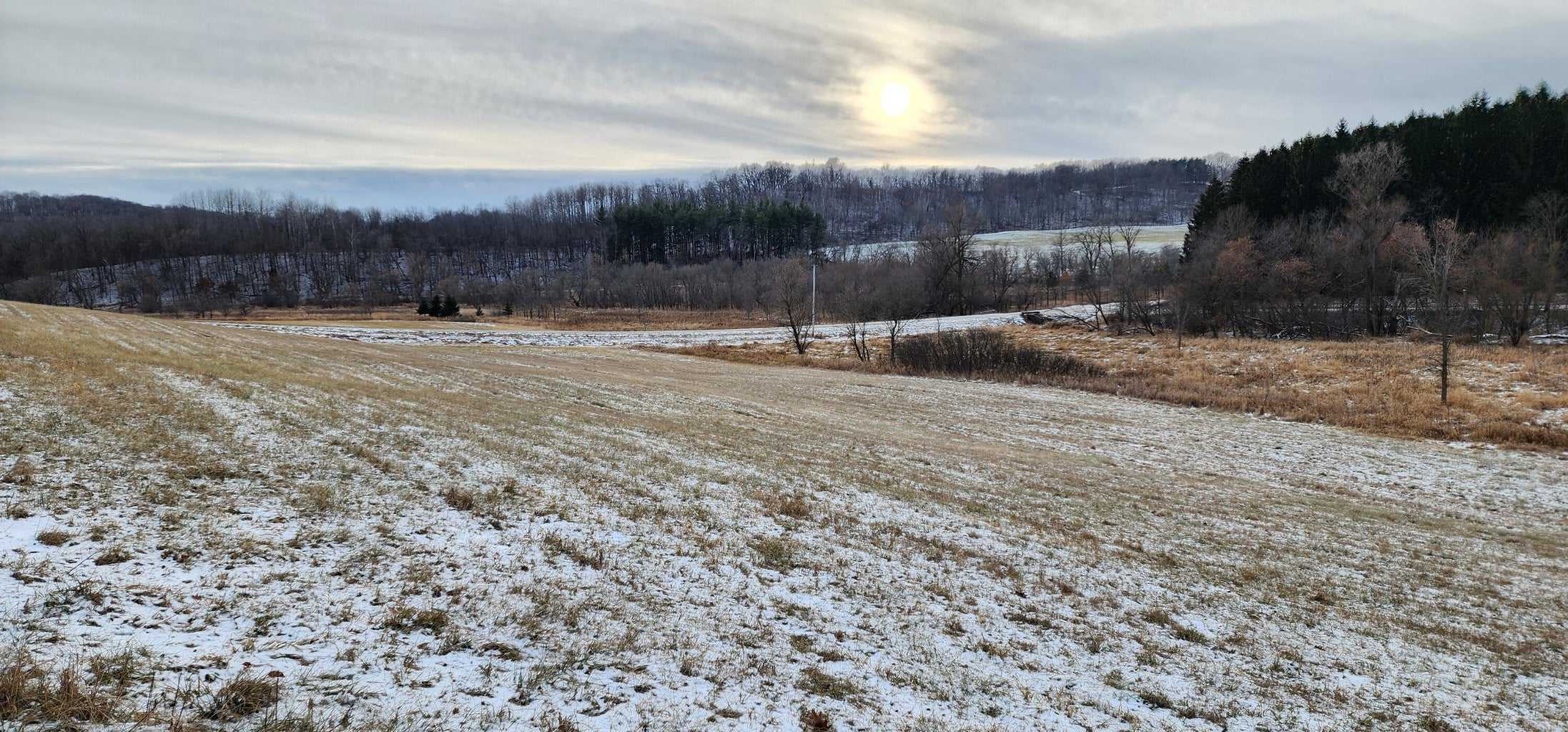 Land for sale with stream, crop ground, hunting, possible build site in WI