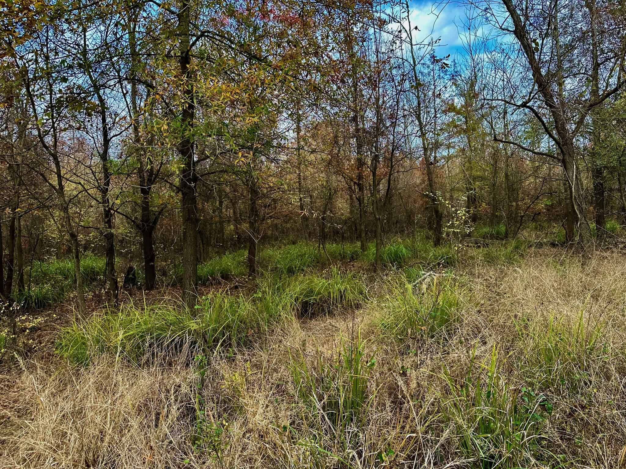 Duck and Deer Hunting Land for Sale with River Frontage