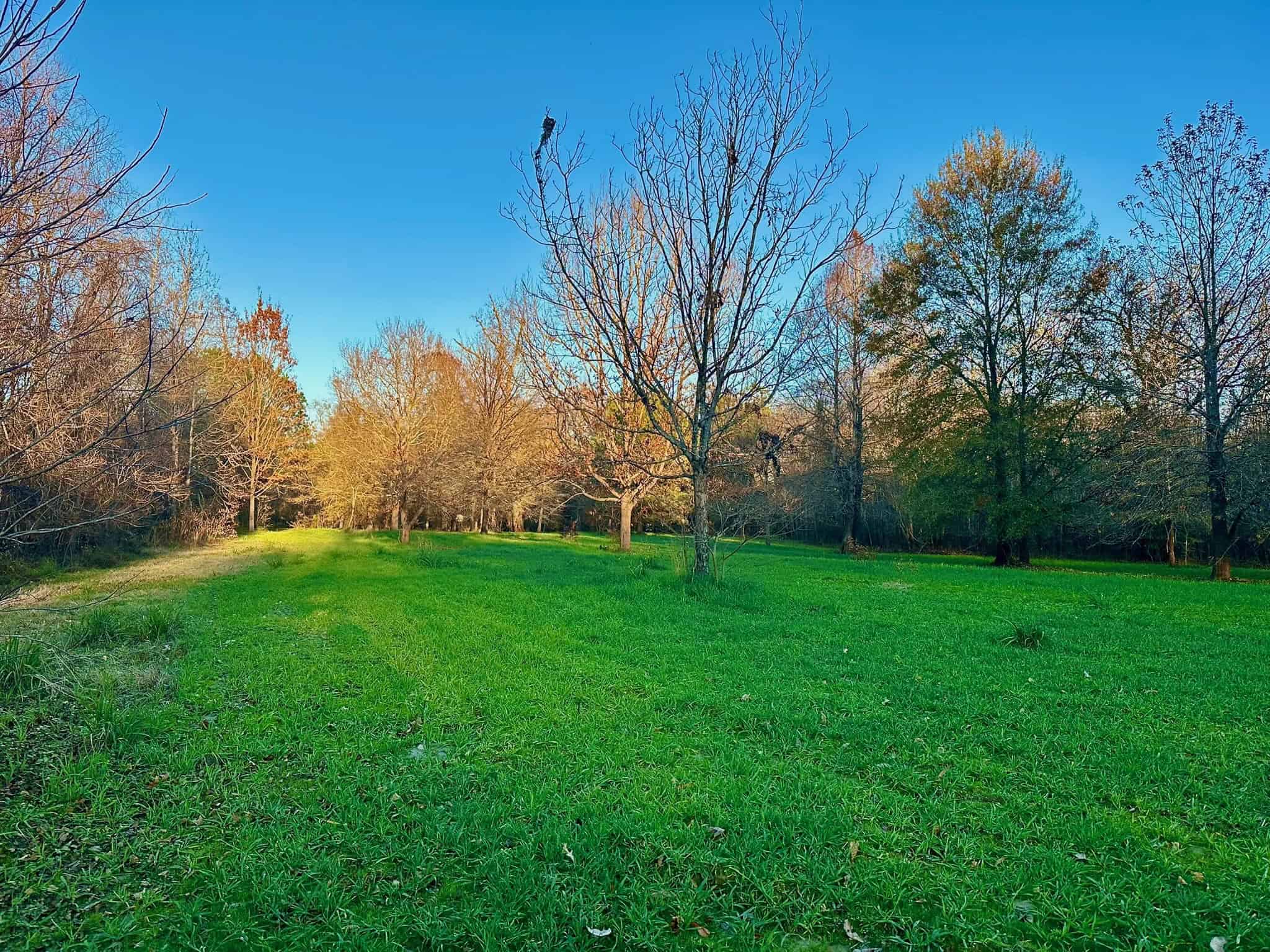 Duck and Deer Hunting Property for Sale in Grant Parish, LA