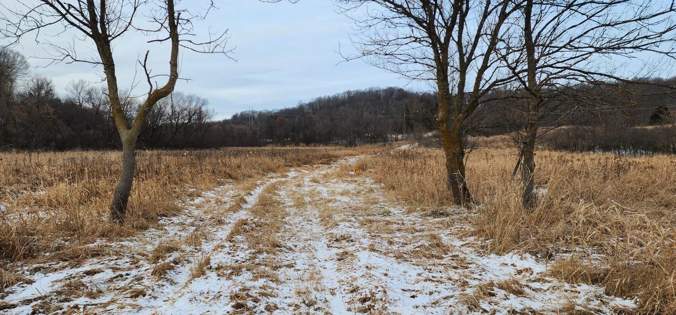 Land for sale with stream, crop ground, hunting, possible build site in WI