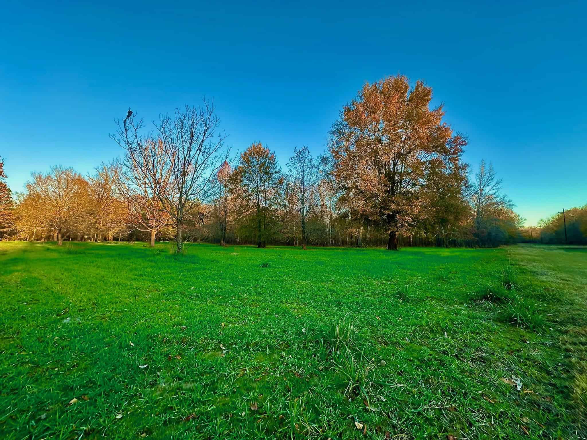 Duck and Deer Hunting Property for Sale in Grant Parish, LA