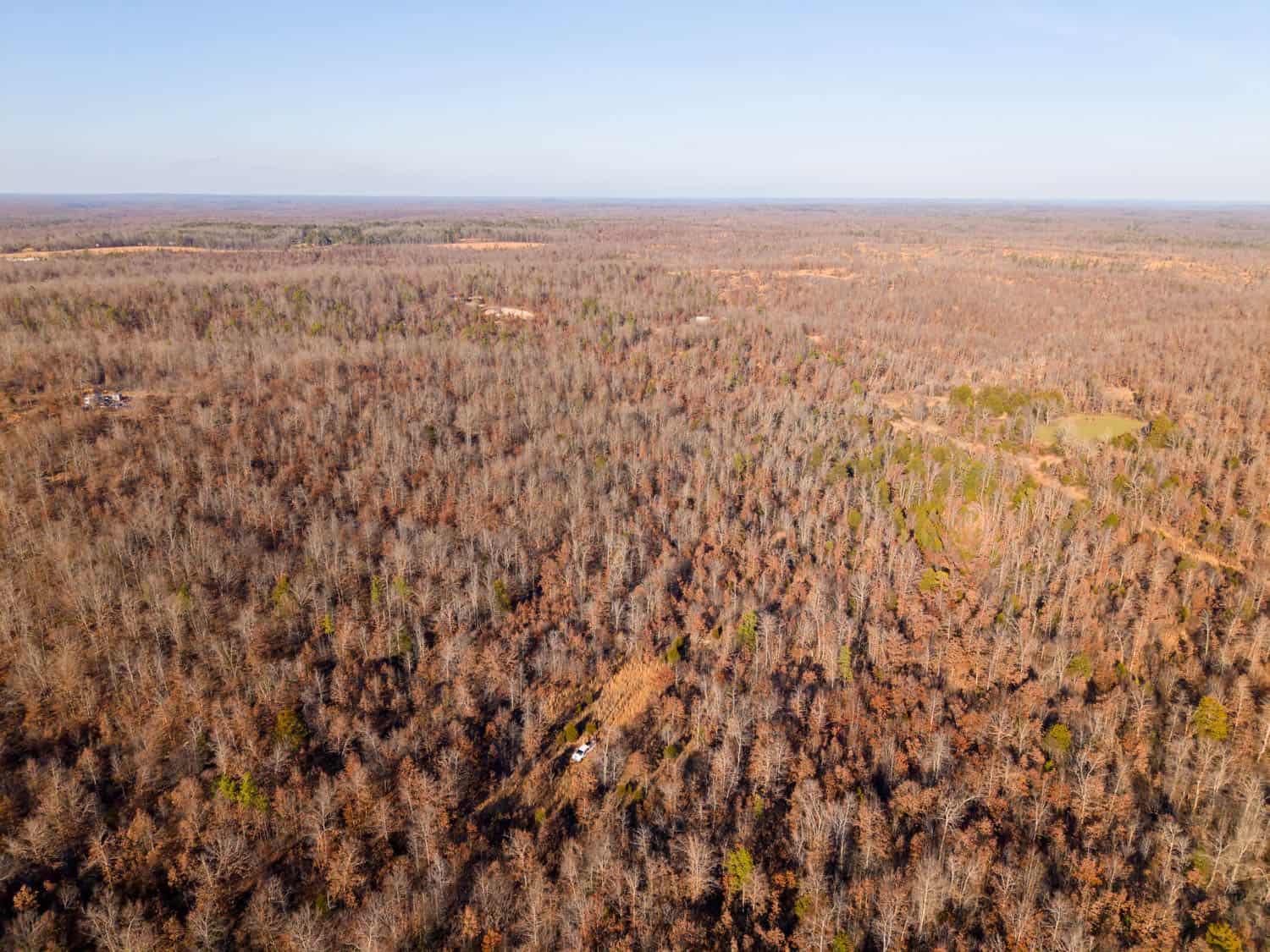 Prime Hunting Land for Sale in Shannon County Missouri
