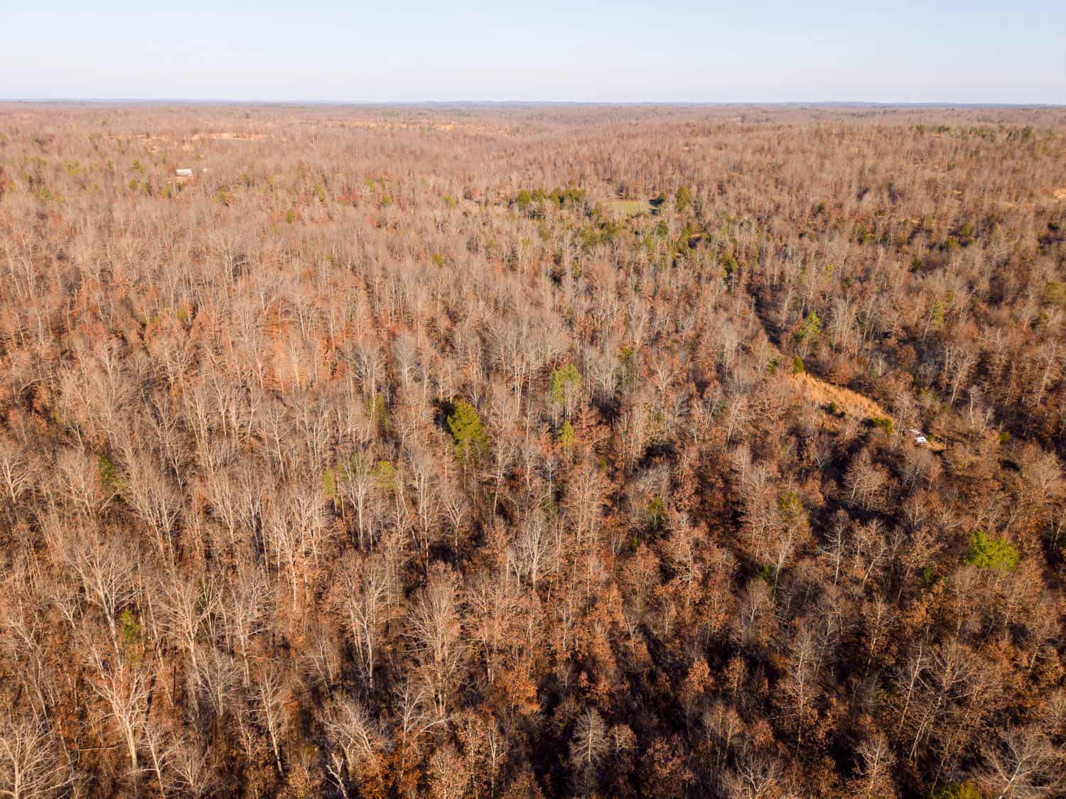 Prime Hunting Land for Sale in Shannon County Missouri