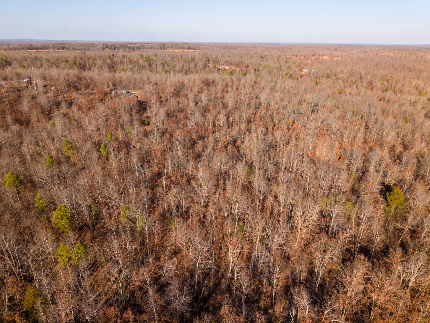 Prime Hunting Land for Sale in Shannon County Missouri