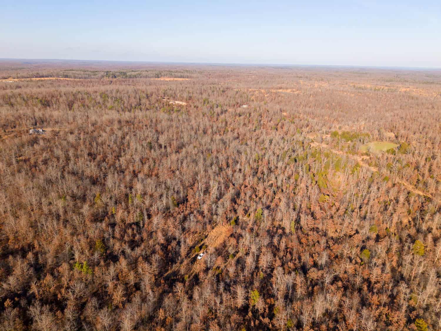 Prime Hunting Land for Sale in Shannon County Missouri