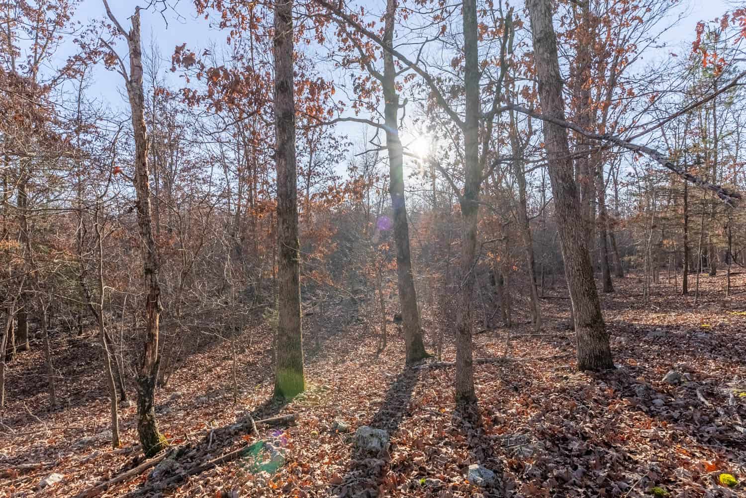 Prime Hunting Land for Sale in Shannon County Missouri