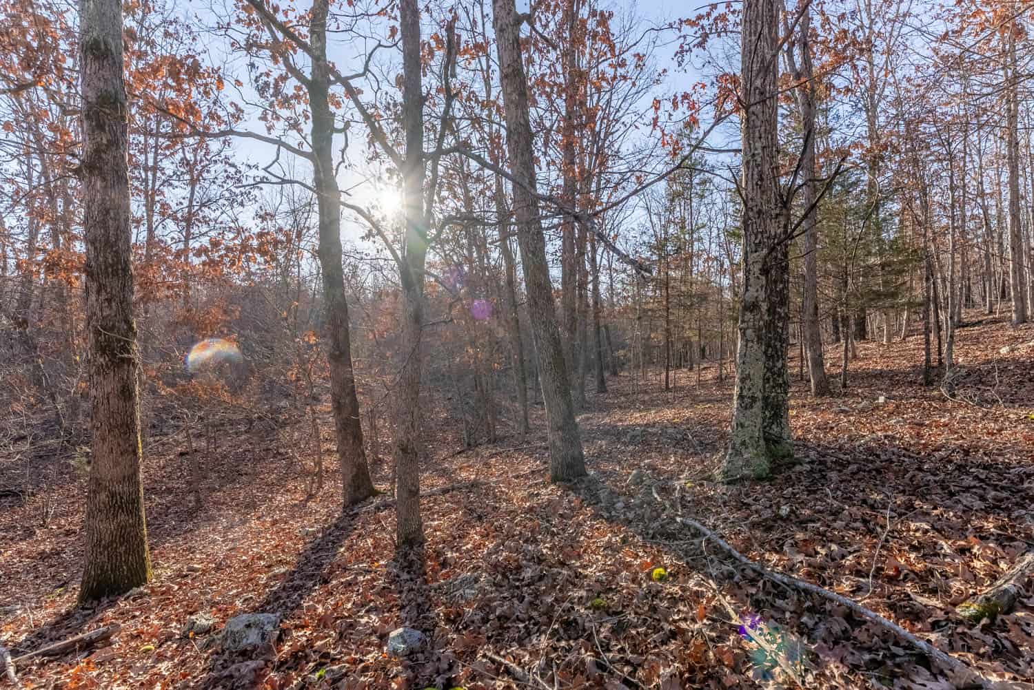 Prime Hunting Land for Sale in Shannon County Missouri