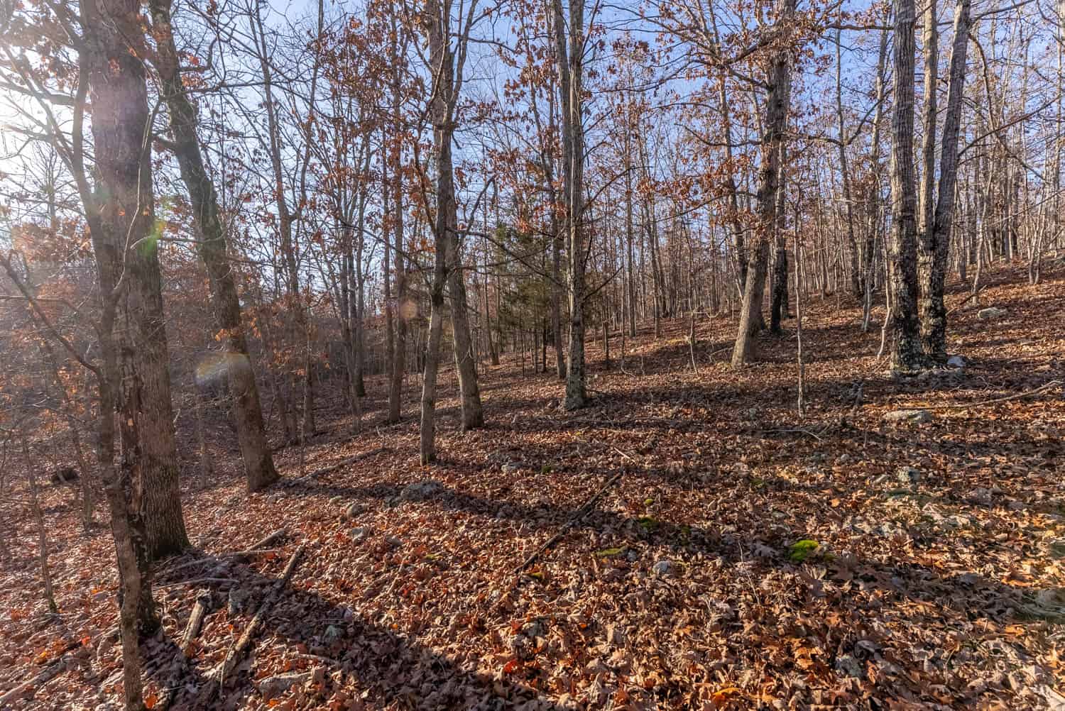 Prime Hunting Land for Sale in Shannon County Missouri