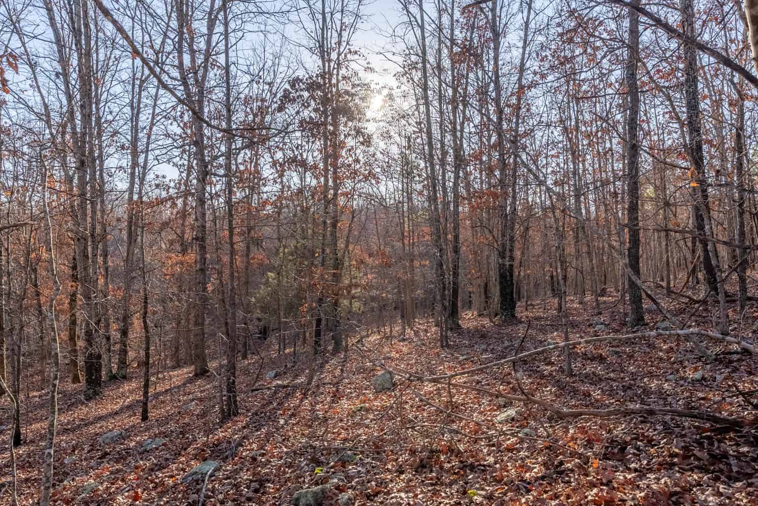 Prime Hunting Land for Sale in Shannon County Missouri