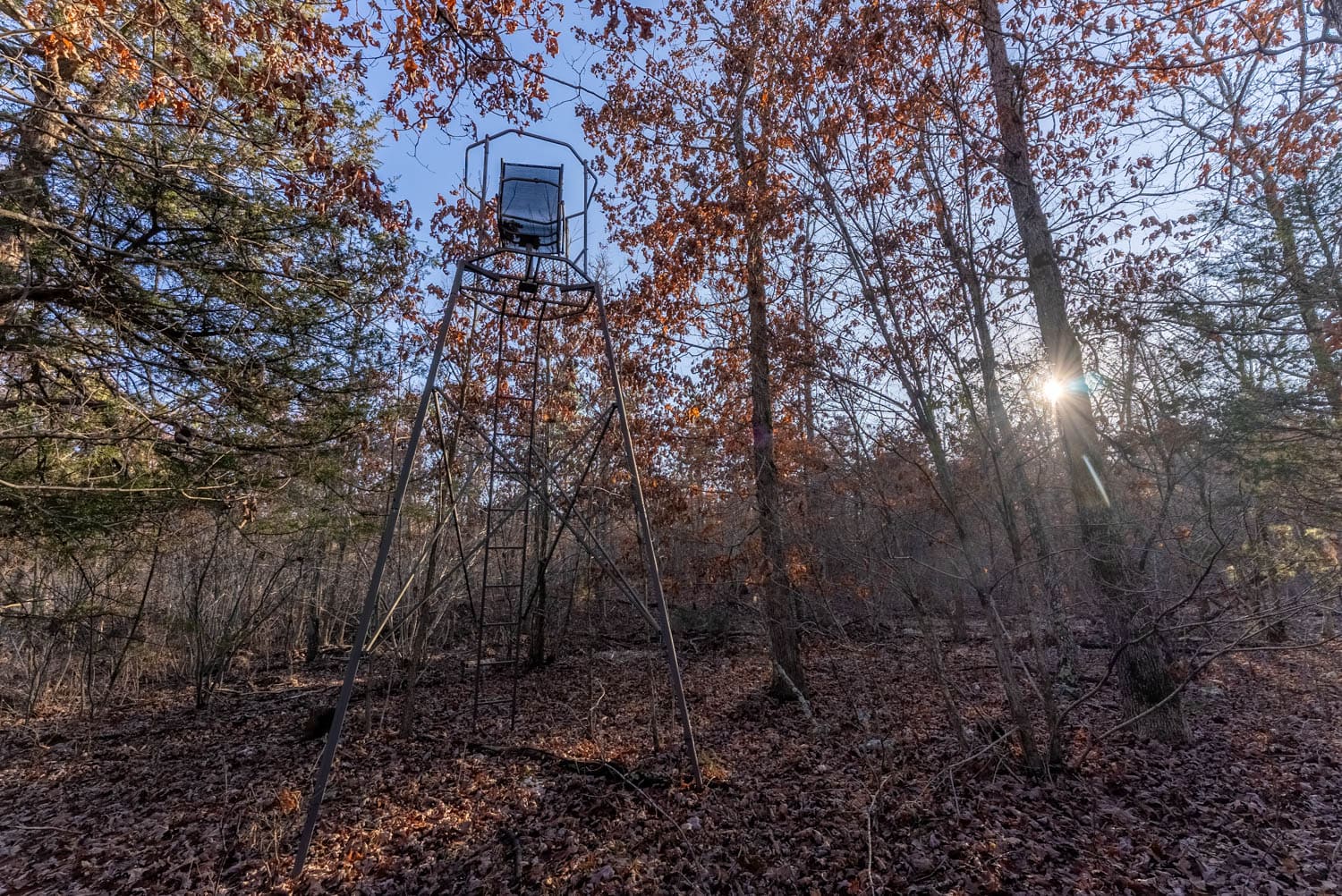 Prime Hunting Land for Sale in Shannon County Missouri
