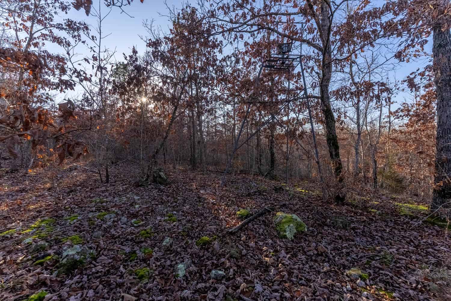 Prime Hunting Land for Sale in Shannon County Missouri