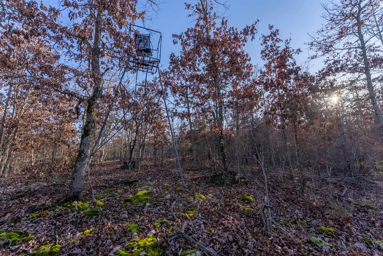 Prime Hunting Land for Sale in Shannon County Missouri