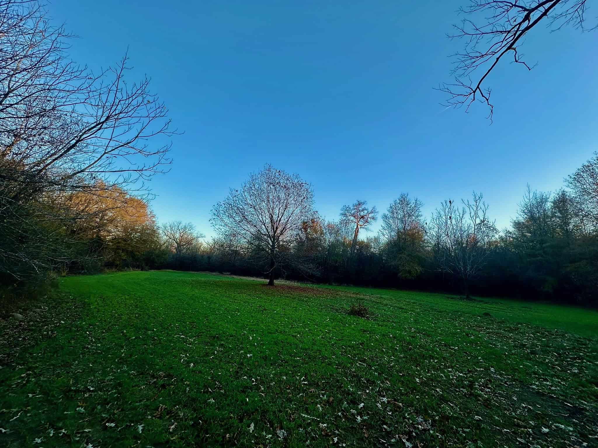 Duck and Deer Hunting Property for Sale in Grant Parish, LA