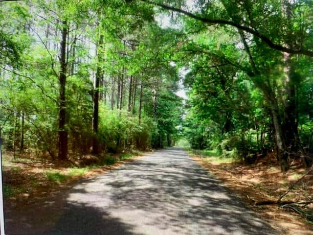 24.3 Acres near Homochitto National Forest and Lake Okhissa Franklin County Mississippi