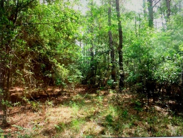 24.3 Acres near Homochitto National Forest and Lake Okhissa Franklin County Mississippi