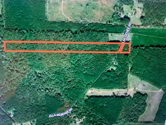 24.3 Acres near Homochitto National Forest and Lake Okhissa Franklin County Mississippi