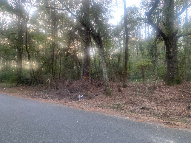 24.3 Acres near Homochitto National Forest and Lake Okhissa Franklin County Mississippi