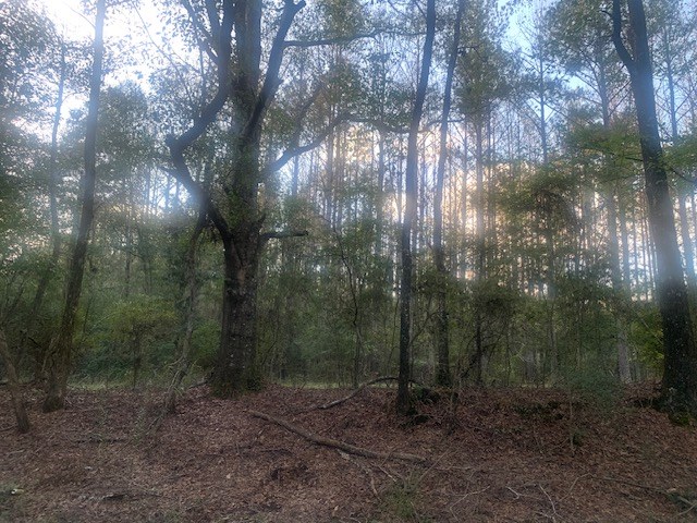 24.3 Acres near Homochitto National Forest and Lake Okhissa Franklin County Mississippi