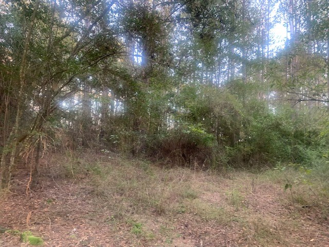24.3 Acres near Homochitto National Forest and Lake Okhissa Franklin County Mississippi