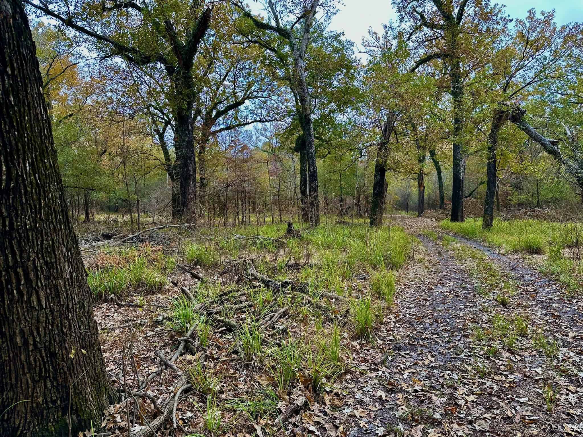 Duck and Deer Hunting Land for Sale with River Frontage