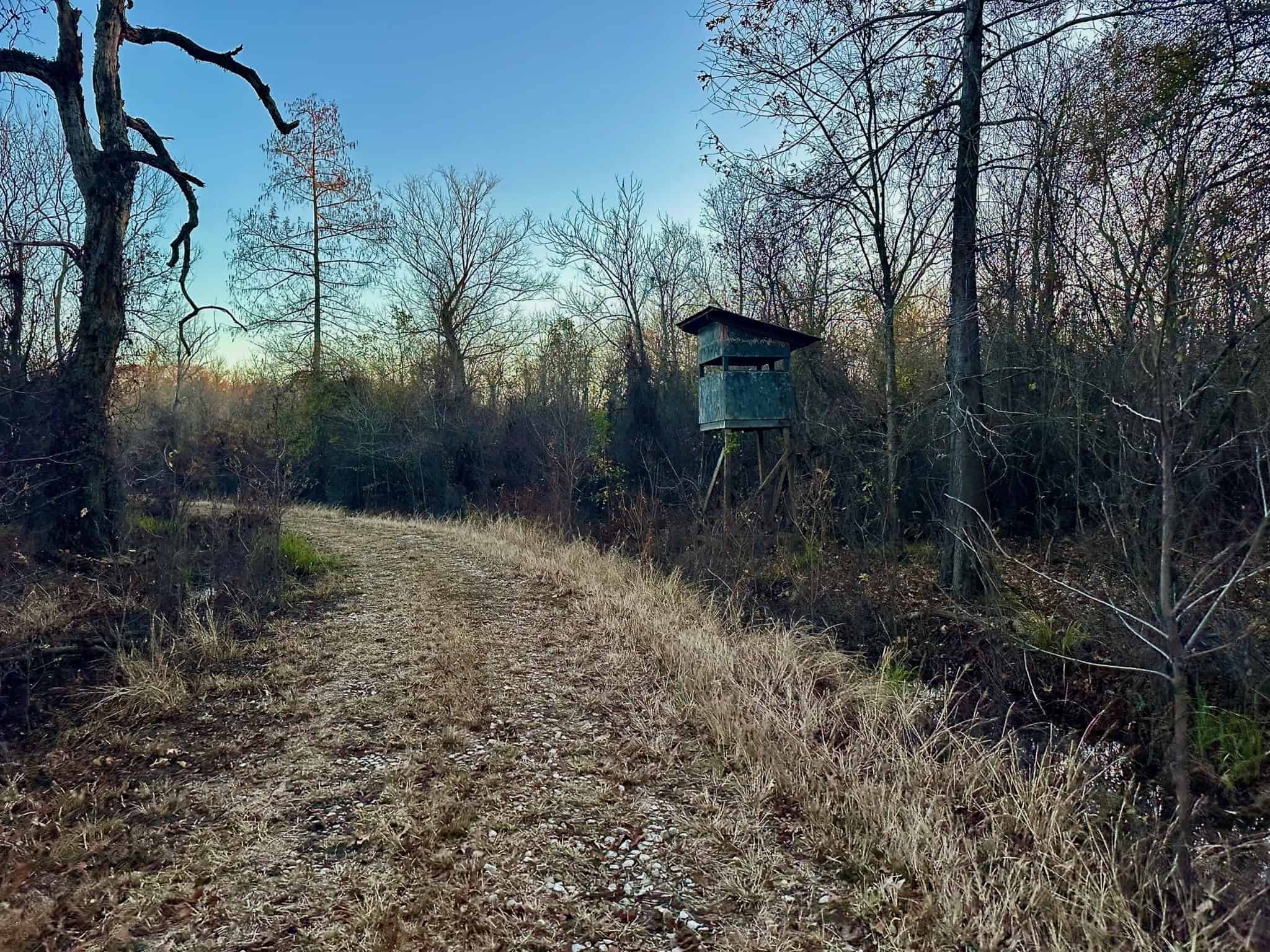 Duck and Deer Hunting Property for Sale in Grant Parish, LA