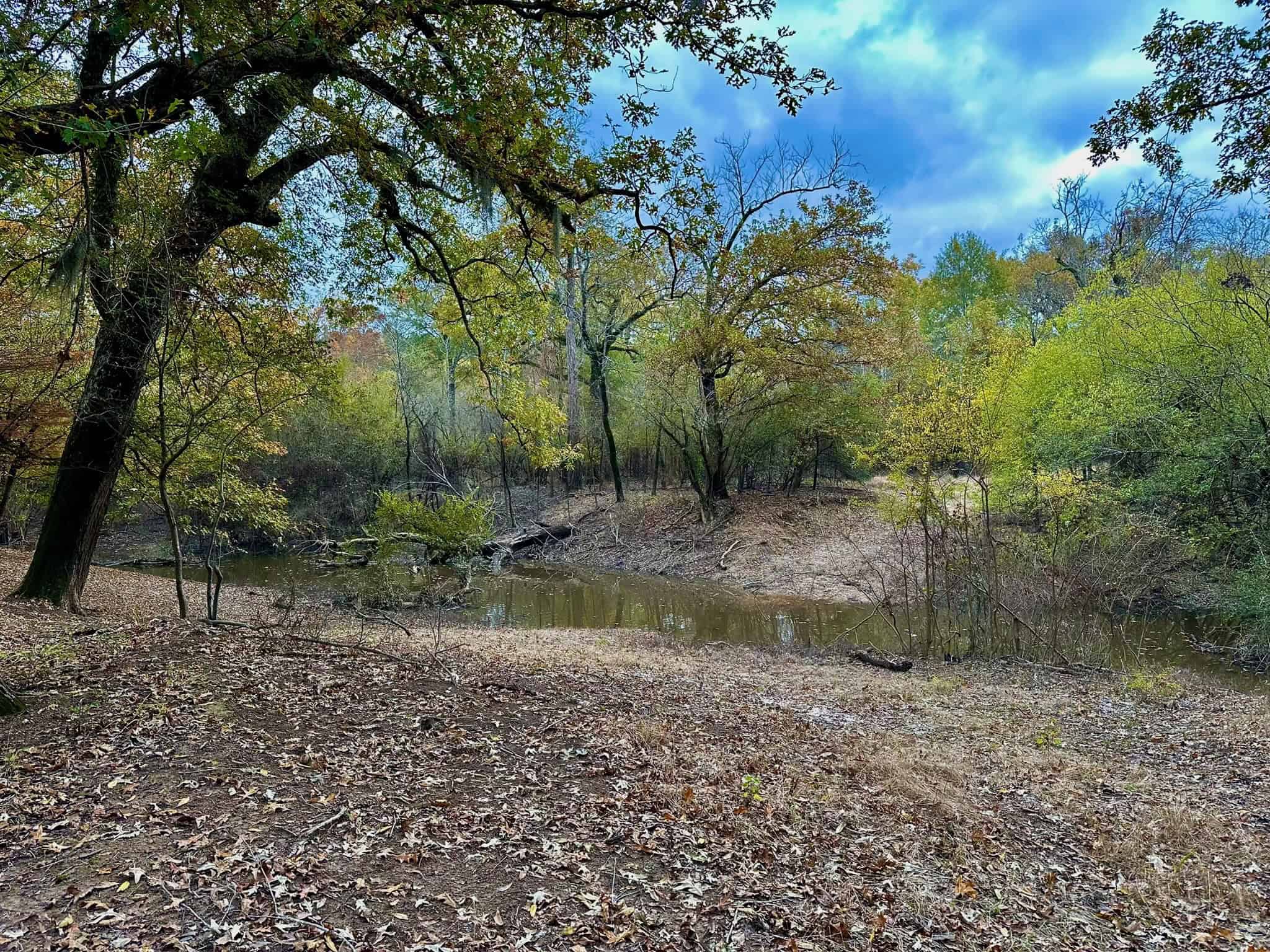 Duck and Deer Hunting Land for Sale with River Frontage