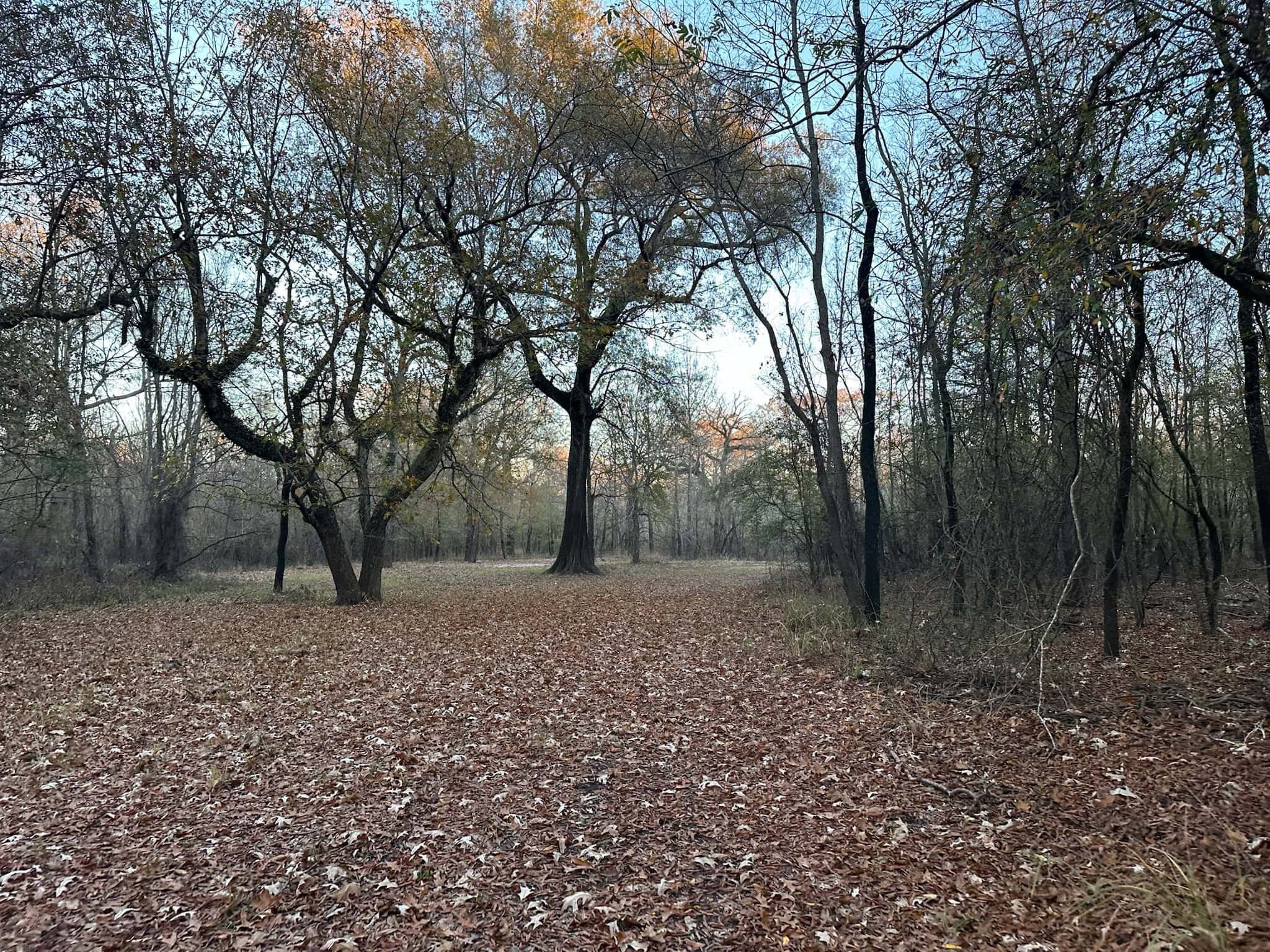 Duck and Deer Hunting Property for Sale in Grant Parish, LA